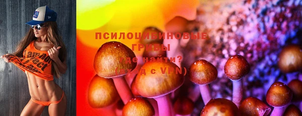 каннабис Абаза